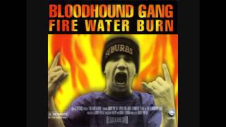 Bloodhound Gang  Fire Water Burn Rudimental Jammy Mix [upl. by Aanas]