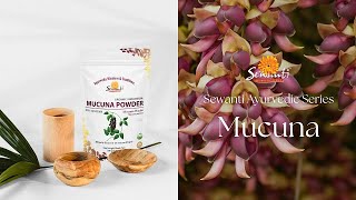 Mucuna Powder Versatile Ayurvedic Herb for Wellness [upl. by Janos]