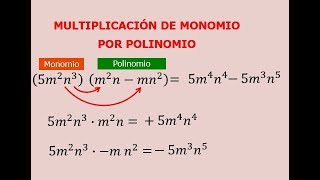 multiplicacion de monomios por polinomios [upl. by Adniled]