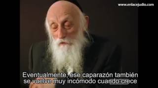 Rabbi Dr Abraham Twerski habla sobre la Adversidad [upl. by Upton84]