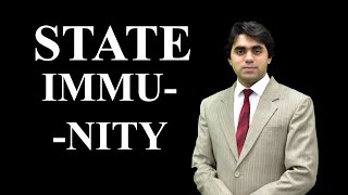 Sovereign Immunity  State Immunity Immunity  International Law I Video Lecture by Wajdan Bukhari [upl. by Cavanagh261]