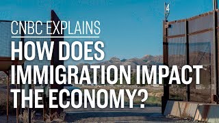 How does immigration impact the economy  CNBC Explains [upl. by Oicul]