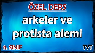 23 Arkeler ve Protista Alemi  Özel Ders 9 Sınıf [upl. by Rhonda]