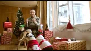 Paul OGrady For the Love of Dogs at Christmas  ITV [upl. by Ykciv661]