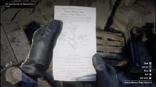 Red Dead Redemption 2 Special Miracle Tonic Location [upl. by Tirza]