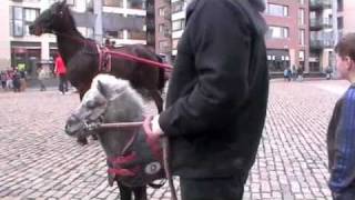 Smithfield Horse Market [upl. by Johannes]