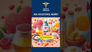 HDL KOLESTEROL NEDİR [upl. by Ellerey]