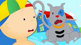 Caillou and the Water Fight  Caillou Cartoon [upl. by Matthews]