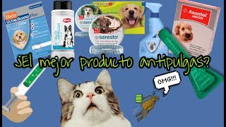 MEJOR PRODUCTO ANTIPULGAS [upl. by Yarrum988]