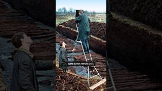 Ancient Engineering Marvels The 800Meter Road That Stunned Archaeologists [upl. by Naihr]