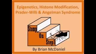 Epigenetics PraderWilli Sydrome Angelman Syndrome Methylation Imprinting Heterochromatin [upl. by Bergman]