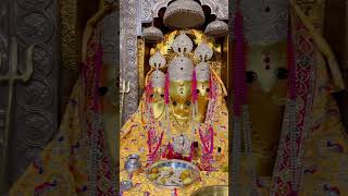 Maa Baglamukhi Mandir Darshan Aarti shyam kali new love song viralviralvideo video whatsapp [upl. by Tomasz]