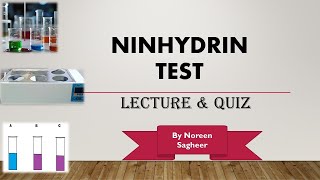 Ninhydrin test biochemistry [upl. by Cirda]