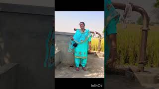 Pinda wale amppunjabi songs Ikshorts2270 [upl. by Notelrahc]