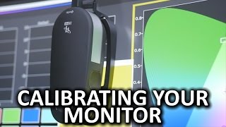 How To Calibrate Your Monitor [upl. by Manard]