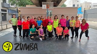 Raymix amp Grupo Ensamble  Tus Jefes No Me Quieren Remix Zumba Fitness [upl. by Ensoll]