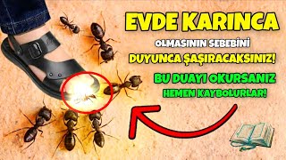 Evde Karınca Olmasının En Önemli Sebebi Karınca Duası Karıncayı Öldürürseniz Ne Olur [upl. by Aidile806]