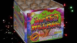 Wicked Willows  Flashing Fireworks  500g [upl. by Dearr476]