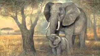 Saint Saens Carnival of the AnimalsLElephant The Elephant [upl. by Hochman]