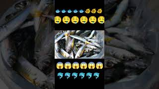 Cooking fish🤤🤤🤤fish shorts shortsvideo [upl. by Gensmer183]