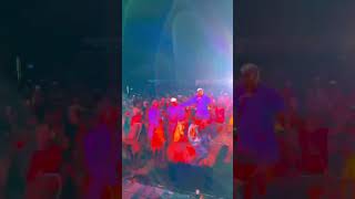 Mongolian Horse Rave [upl. by Eldnar]