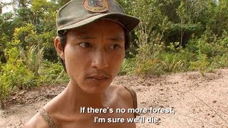 The Effects Of Deforestation On The Penan Tribe With Bruce Parry  BBC [upl. by Eedrahc]