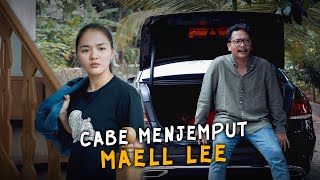 CABE MENJEMPUT MAELL LEE [upl. by Nivri465]