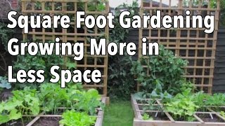 Square Foot Gardening SFG Growing More in Less Space [upl. by Handler]