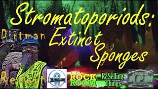 Dirtman Report Extinct Sponges Stromatoporoids [upl. by Osbourne]