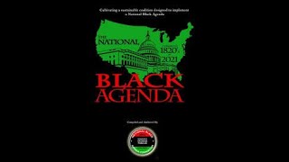 National Black Agenda Convention 2004  PART 4 [upl. by Amend589]