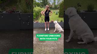 Pet friendly unboxing [upl. by Evoy]