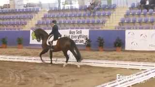 Linda Foster and Mauritius NSW State Dressage Championships Grand Prix Freestyle [upl. by Bigod661]