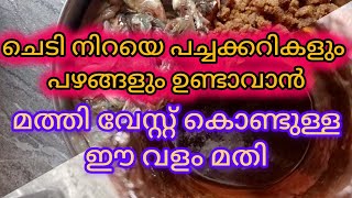 പച്ചക്കറികളും പഴങ്ങളും നിറയെ ഉണ്ടാവാൻ മത്തി വേസ്റ്റ് കൊണ്ട് അടിപൊളി വളം fish amino acid malayalam [upl. by Irolav]