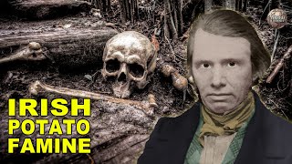 A Timeline Of The Potato Famine That Changed Ireland Forever [upl. by Curtis]