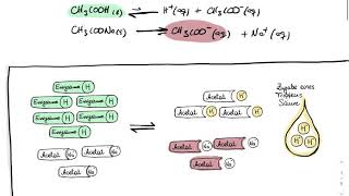 Chemische Puffersysteme [upl. by Cullin]