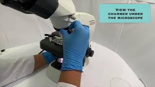 Charging the Hemocytometer and Viewing under the Microscope [upl. by Norvall]