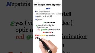 antituberculosis drugs side effects [upl. by Asehr]