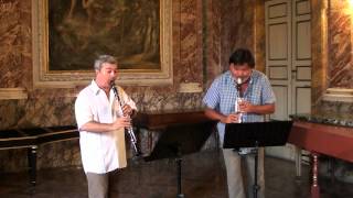 G Rossini Sonata III for two clarinets M Mangani  Sergio Bosi amp Corrado Giuffredi [upl. by Aicak]