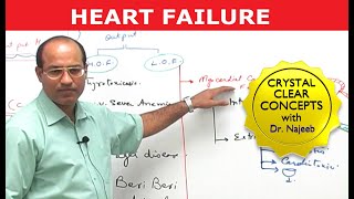 Heart Failure  Cardiac Pathology [upl. by Trueblood]