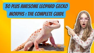 30 plus Awesome Leopard Gecko Morphs  The Complete Guide [upl. by Ekenna]