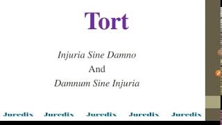 Tort  Injuria Sine Damno and Damnum sine Injuria EnglishHindi LawLLBBALLBCLATPCSJAPO [upl. by Drarej88]