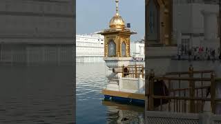 Bohat janam bichre they madho🙏🙏trending darbarsahib love wmk goldentemple [upl. by Griffin161]