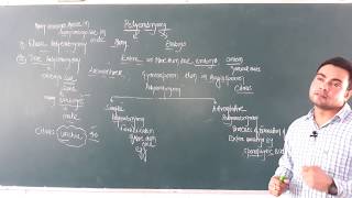 Apomixis and polyembryony [upl. by Nogem]