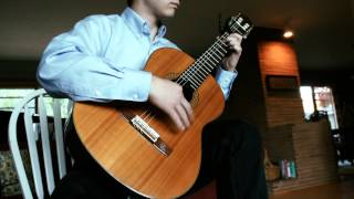 La Lola Flamenco Guitar [upl. by Eanej]