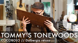 What is COCOBOLO wood  Dalbergia retusa  Tommys Tonewoods [upl. by Alair]