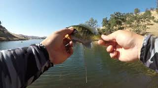 Millerton Lake Bluegill Fishing [upl. by Layod]