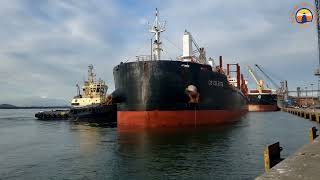 TIMELAPSE ATRACAÇÃO NAVIO CS CELESTE  PORTO DE PARANAGUÁ [upl. by Gnoix]