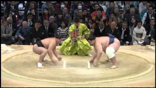 Day11 Harumafuji vs Aoiyama [upl. by Miru]