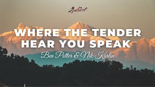 Ben Potter amp Nik Karlin  Where The Tender Hear You Speak cinematic classical ambient [upl. by Lubbi]