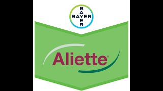 Aliette® 80 WG Fungicid sistemic pentru combaterea focului bacterian la marpargutui [upl. by Adlai]